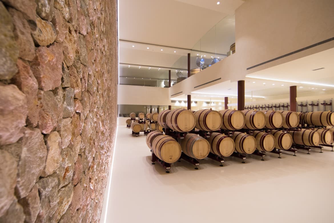 Bodega son Mayol Kellerraum