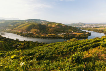 douro tal portugal rotwein Fluss fließt durch Landschaft im Douro-Tal