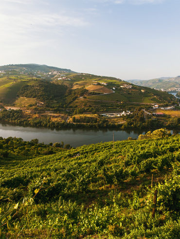 Fluss fließt durch Landschaft im Douro-Tal