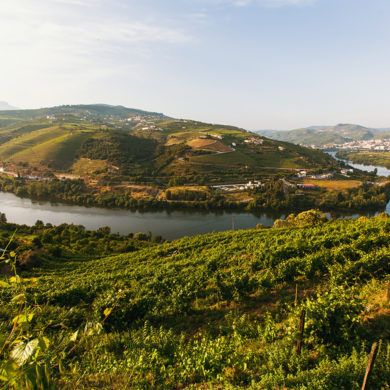 Fluss fließt durch Landschaft im Douro-Tal
