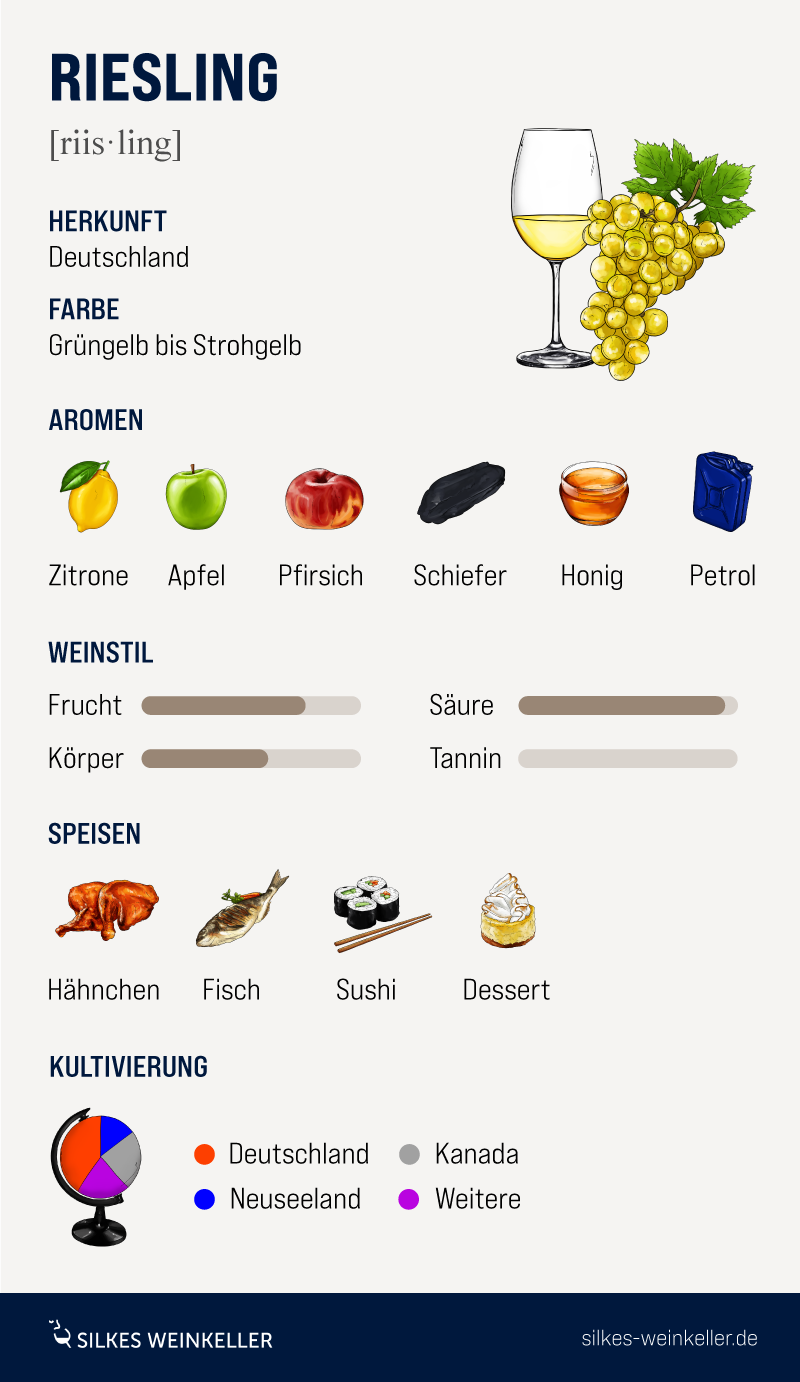 Grafik mit Illustrationen zu Rieslingdarauf