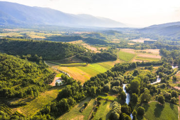 Bulgarischer Wein: Vogelperspektive auf Reben-Landschaft