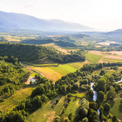Bulgarischer Wein: Vogelperspektive auf Reben-Landschaft