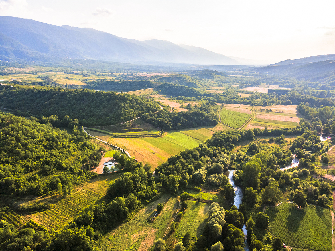 Bulgarischer Wein: Vogelperspektive auf Reben-Landschaft