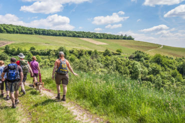 weinberg wanderer Wanderer in begrünten Weinbergen unter blauem Himmel | Silkes Weinkeller