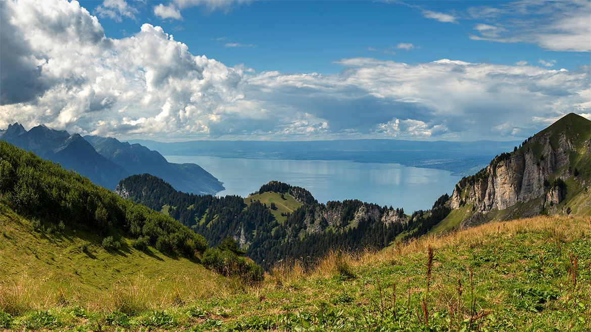 Landschaft mit See, Wiesen und Bergen