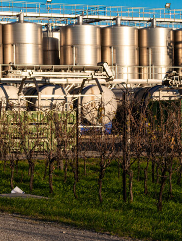 ausbaubehaelter edelstahltank Edelstahltanks hinter Reben