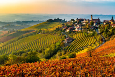 Landschaft mit Häusern und Weinbergen