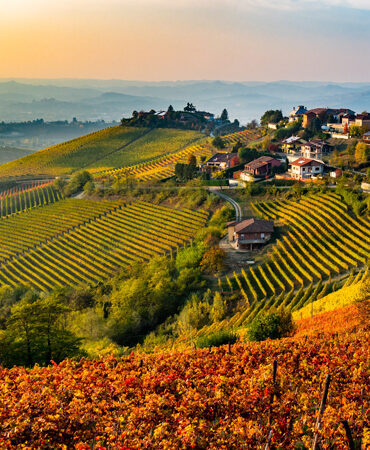 Landschaft mit Häusern und Weinbergen