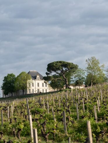 Winzerview Blick vom Weinberg auf Chateau Tournefeuille