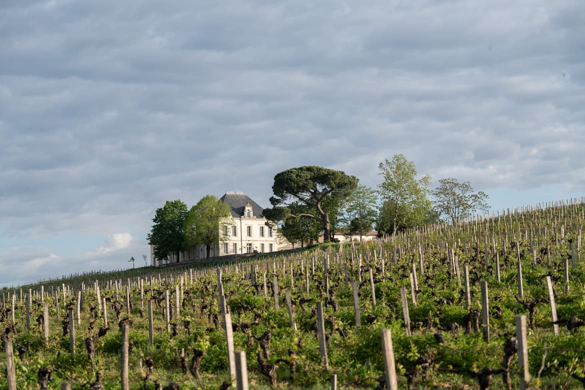 weinberge chateau ansicht Winzerview Blick vom Weinberg auf Chateau Tournefeuille