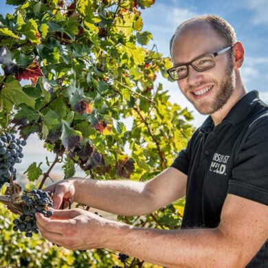 Winzerview Christian Hirsch im Weinberg