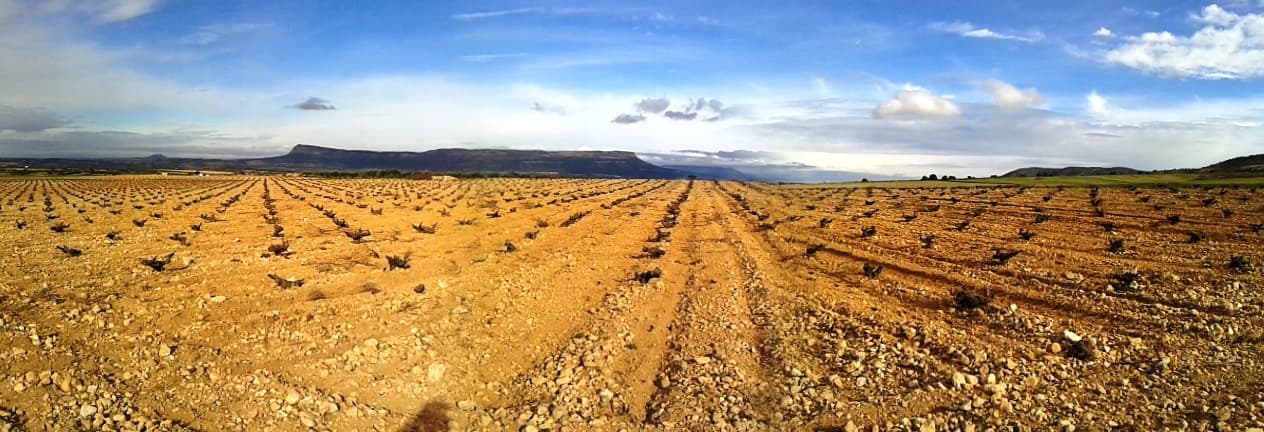 Karge Landschaft