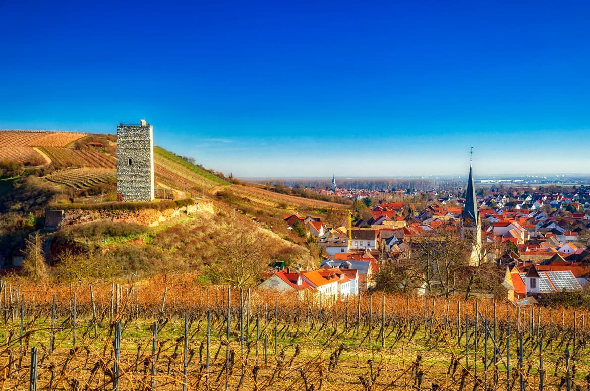 Weinberge vor Stadt