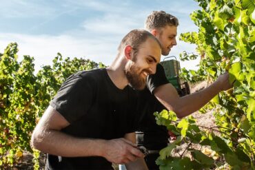 Zwei Männer lachend im Weinberg