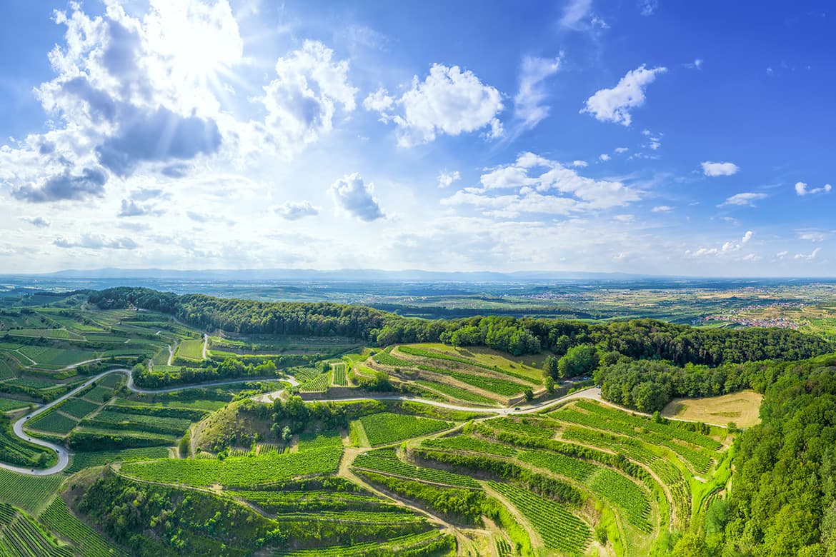 Weinberge in Kaiserstuhl, Baden