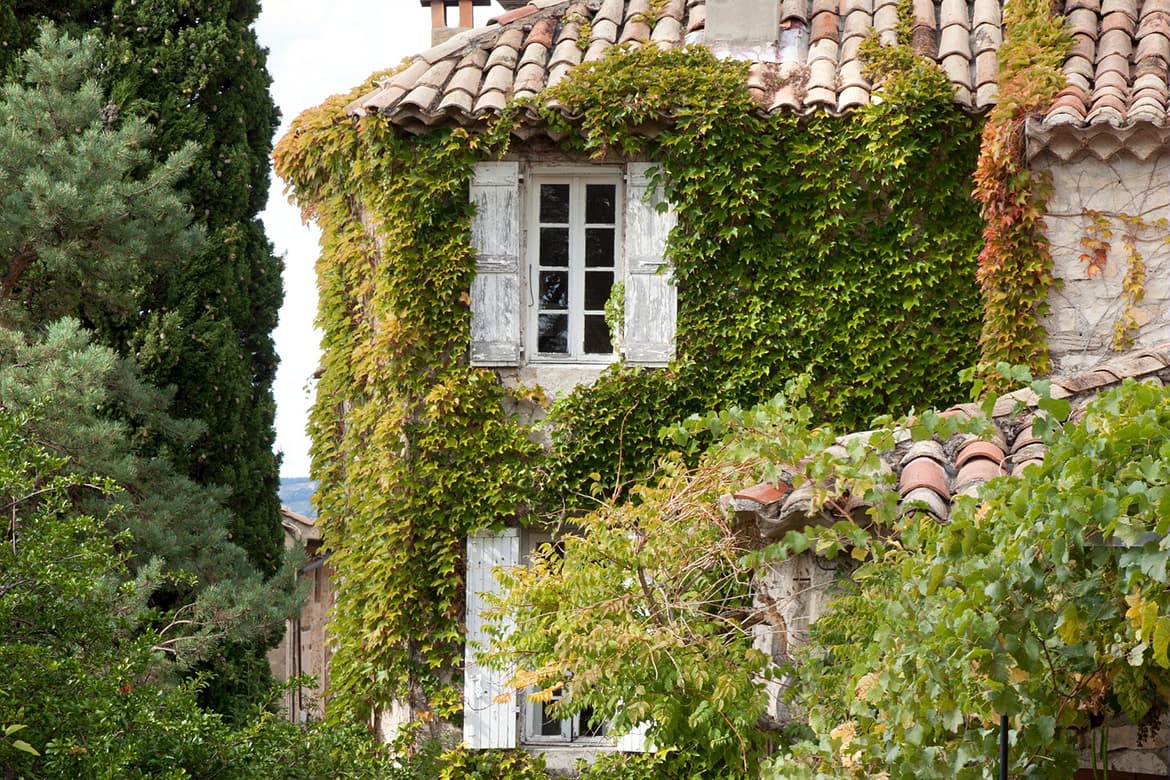 Bewachsenes Gebäude in der Rhône