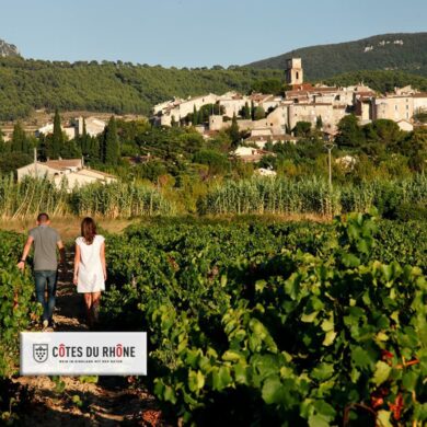 Zwei Personen laufen durch einen Weinberg zwischen Reben in der Rhône untern rechts eingefügtes Logo der Côtes du Rhône