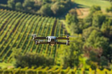 Drohne fliegt über Weinberg