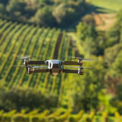 Drohne fliegt über Weinberg