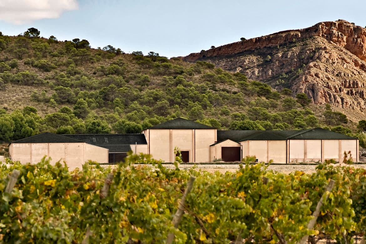 Bodegas Juan Gil im Hintergrund, vorne Weinreben zu sehen