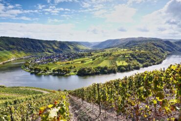 Weinberg an der Mosel