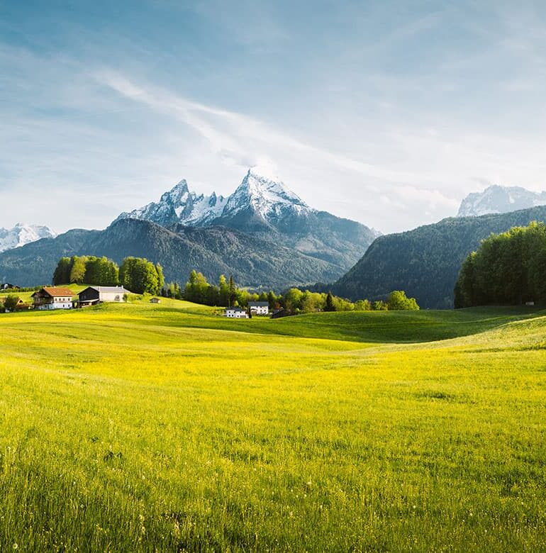 Österreichische Landschaft mit Alpen im Hintergrund