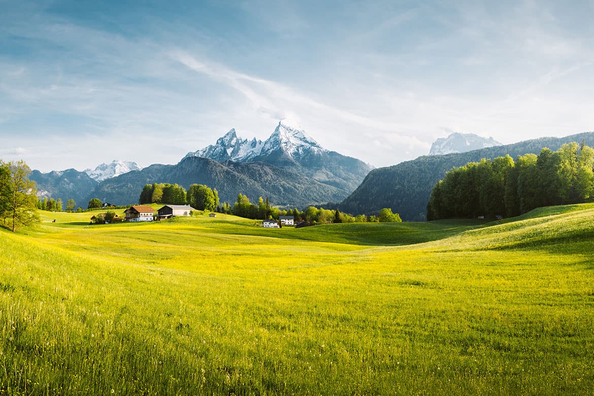 Weinwissen VIII: Österreich