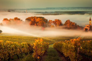 AdobeStock 179280592 Sunset landscape and smog in bordeaux wineyard france