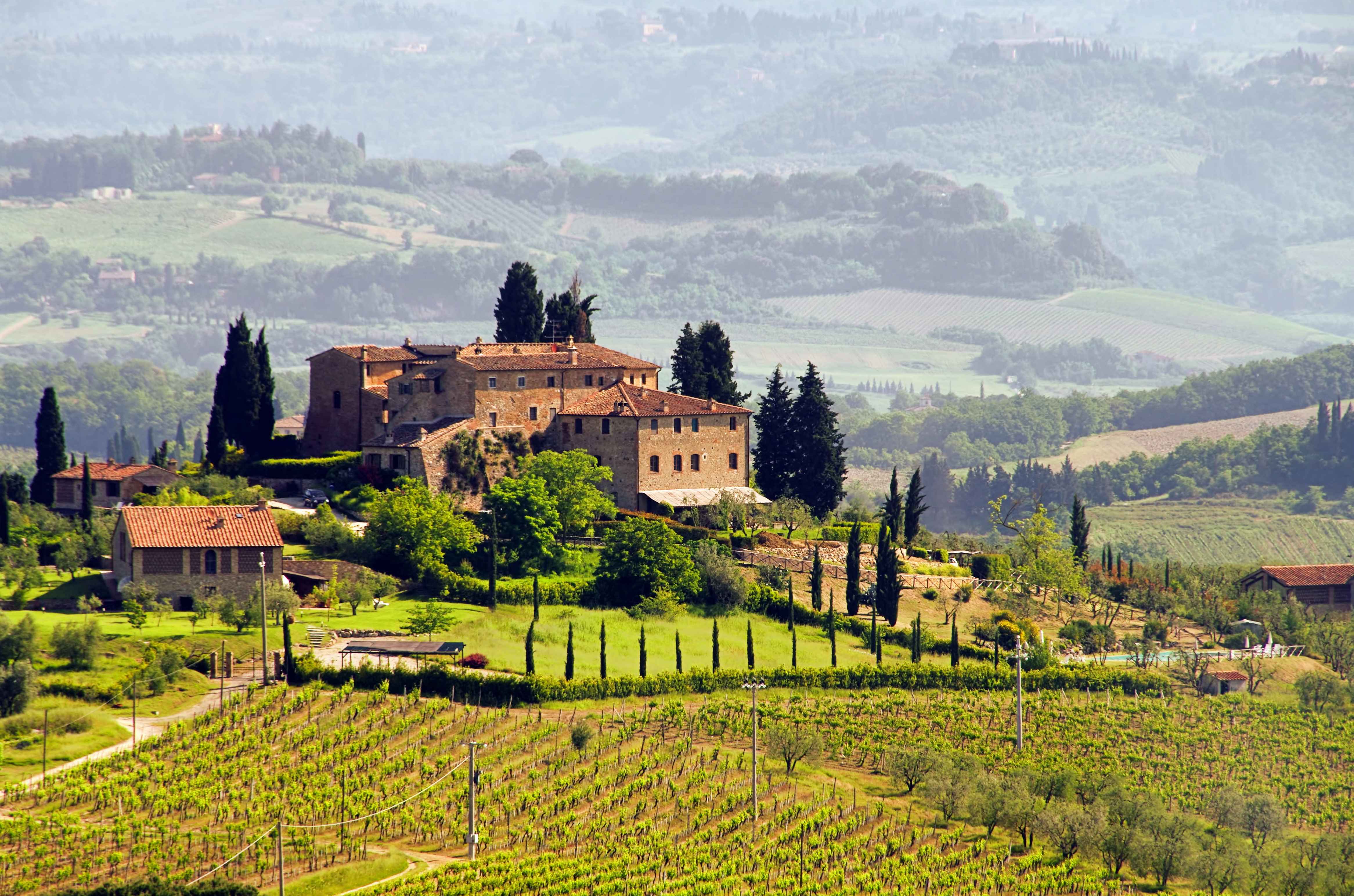 Wein-Jahrgang 2023: Weinberg in der Toscana