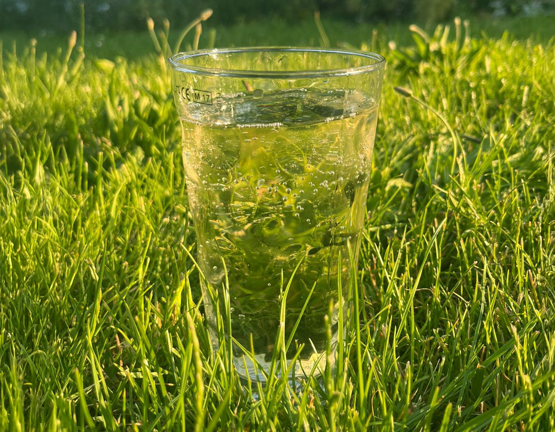 Weinschorle im Gruenen | Silkes Weinblatt