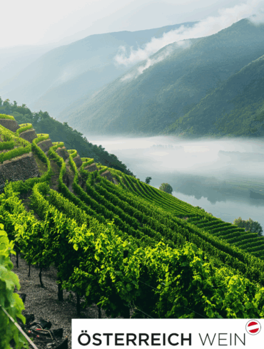 Ein Österreichischer Weinberg in der Wachau der von Nebelschwarten und der Berglandschaft umgeben ist.