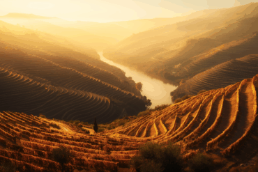 KV Duoro Portweine 1 | Silkes Weinblatt