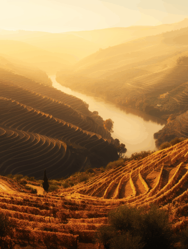 KV Duoro Portweine 1 | Silkes Weinblatt