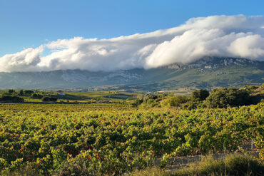 rioja blogbeitrag 1080x1080 1 | KI-generiert