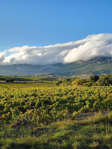 rioja blogbeitrag 1080x1080 1 | KI-generiert