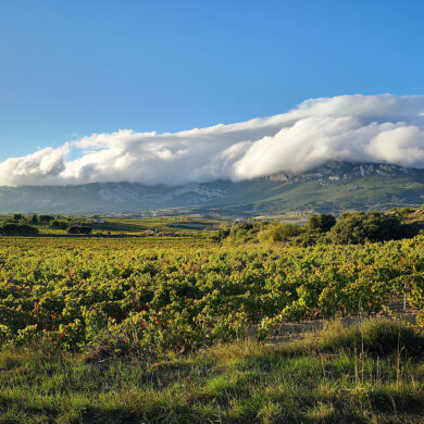 rioja blogbeitrag 1080x1080 1 | KI-generiert