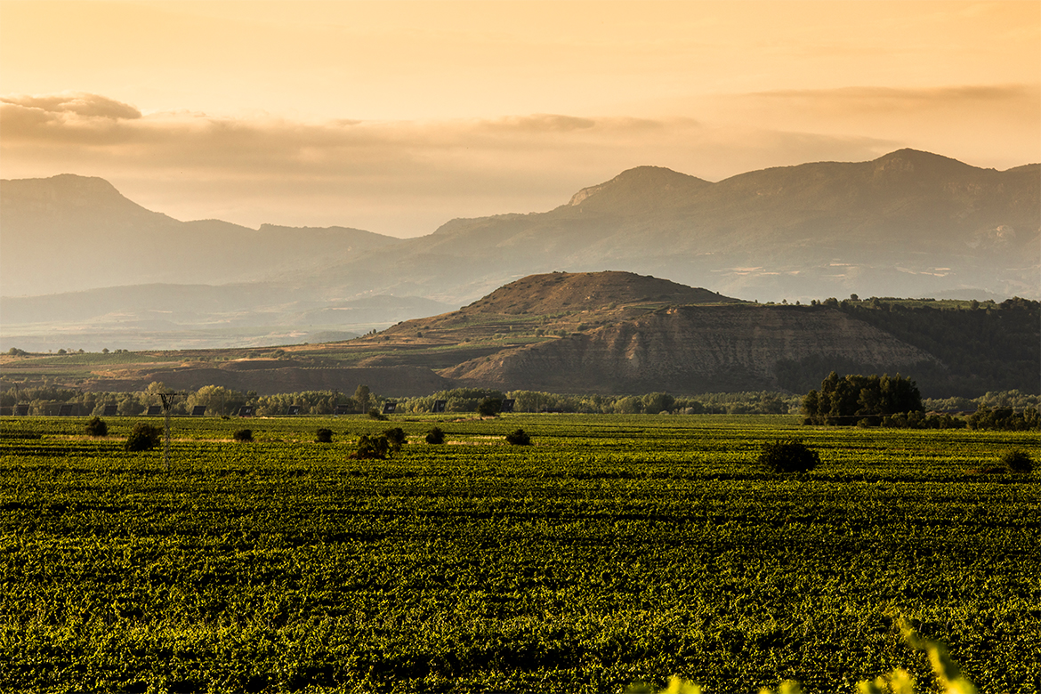rioja blogbeitrag 1170x780 1 rioja blogbeitrag 1170x780 1 | Silkes Weinblatt