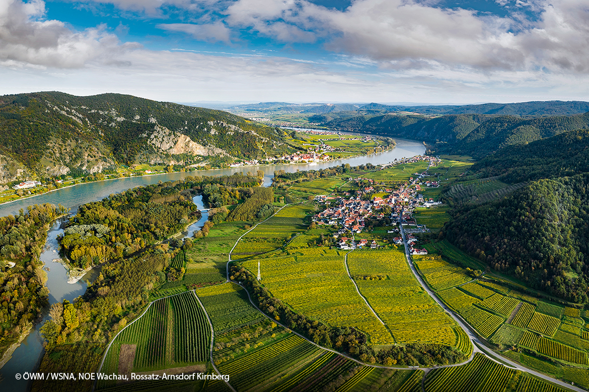 swk blogbeitragsbild 1 oesterreich wein 1170x780 1 swk blogbeitragsbild 1 oesterreich wein 1170x780 1 | Silkes Weinblatt | KI-generiert