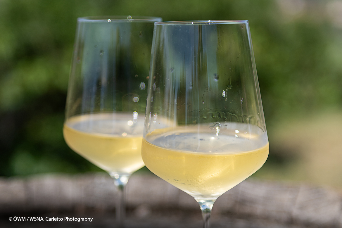 swk blogbeitragsbild 2 oesterreich wein 1170x780 1 swk blogbeitragsbild 2 oesterreich wein 1170x780 1 | Silkes Weinblatt | KI-generiert