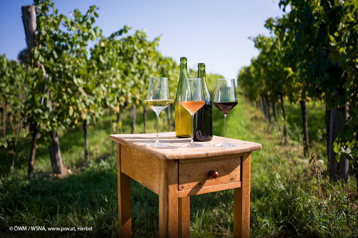 swk blogbeitragsbild 4 oesterreich wein 1170x780 1 swk blogbeitragsbild 4 oesterreich wein 1170x780 1 | Silkes Weinblatt | KI-generiert