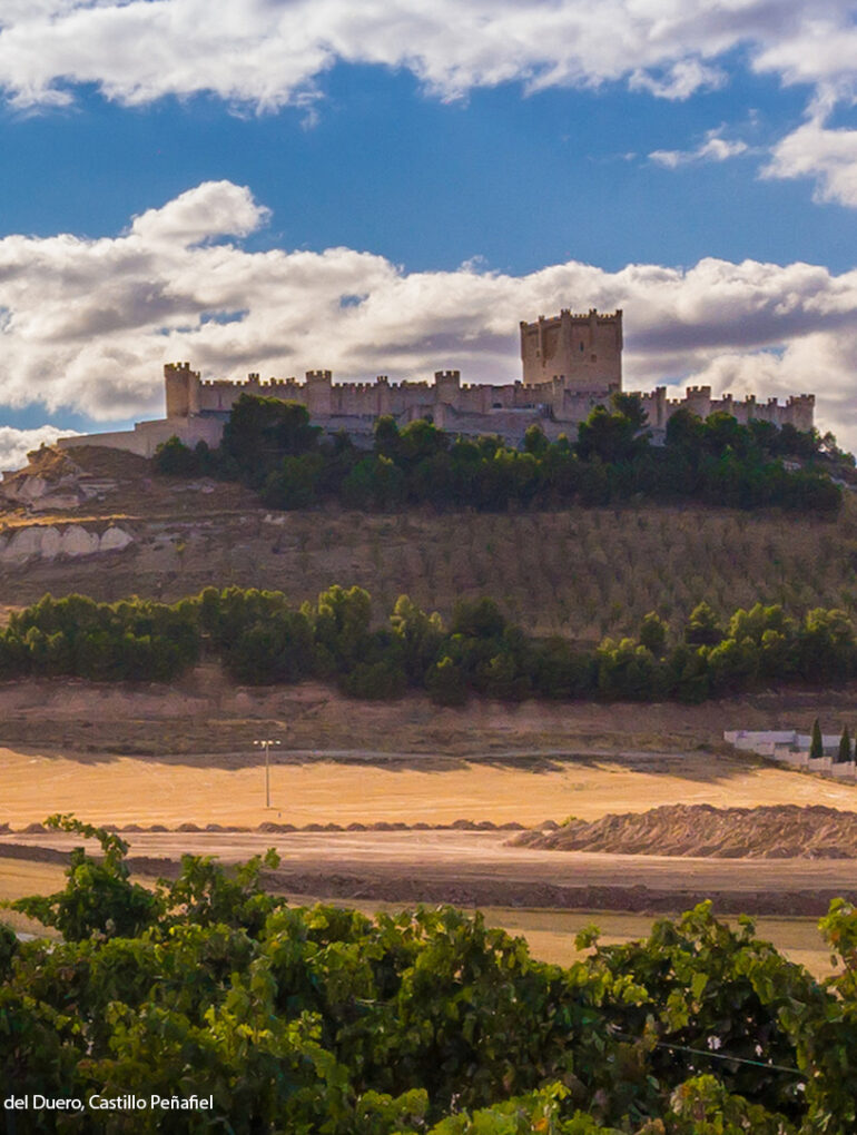 swk blogbeitrag ribera del duero 1080x1080 v1 | KI-generiert