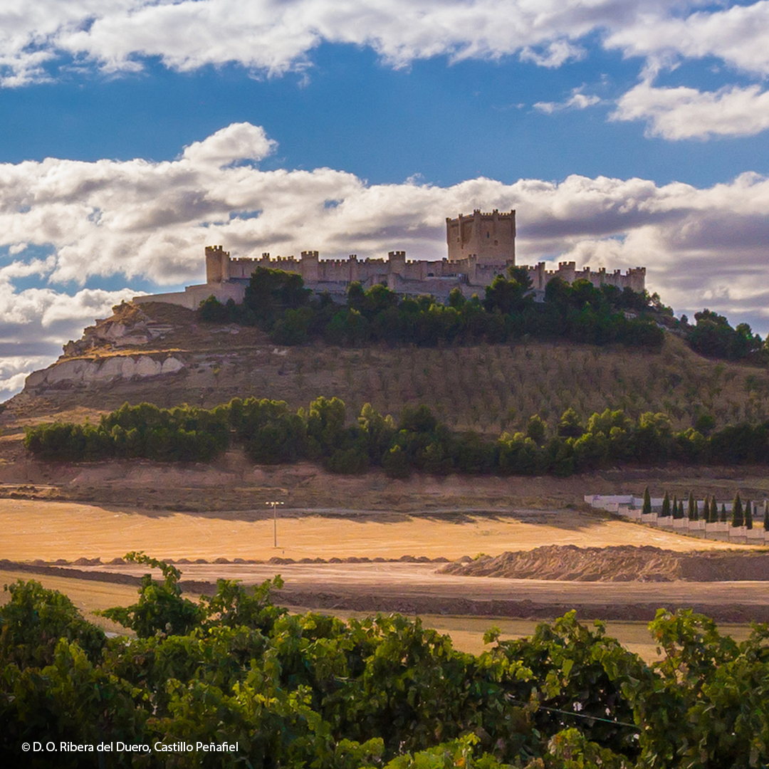 swk blogbeitrag ribera del duero 1080x1080 v1 | KI-generiert